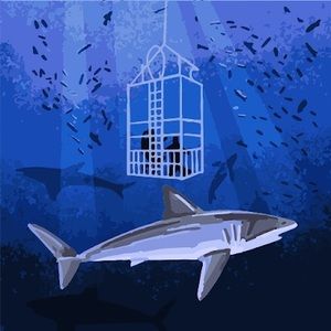 Meet your Posher, Nico